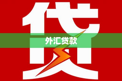 富顺外汇贷款