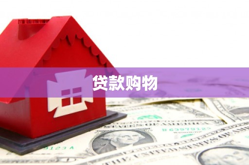 富顺贷款购物