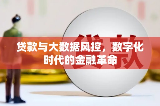 富顺贷款与大数据风控，数字化时代的金融革命
