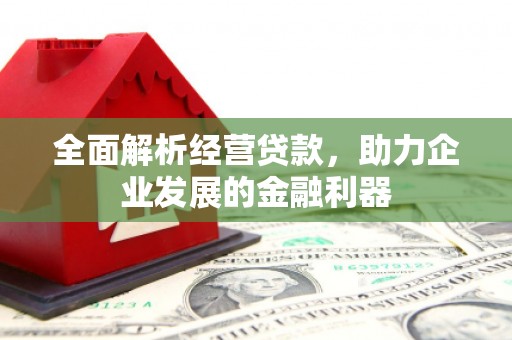 富顺全面解析经营贷款，助力企业发展的金融利器