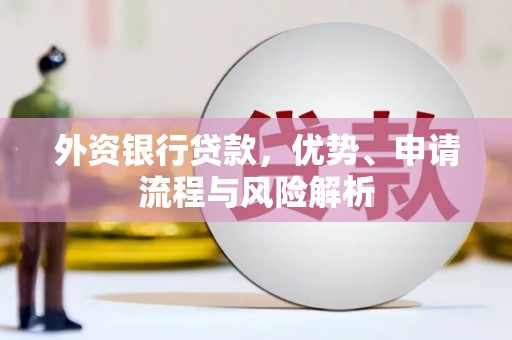 富顺外资银行贷款，优势、申请流程与风险解析