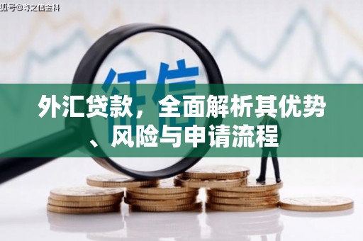 富顺外汇贷款，全面解析其优势、风险与申请流程