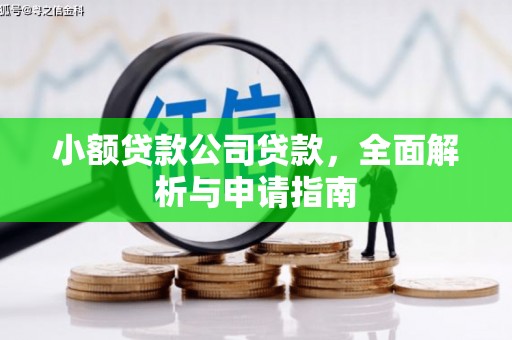 富顺小额贷款公司贷款，全面解析与申请指南