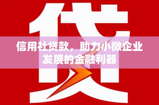 富顺信用社贷款，助力小微企业发展的金融利器
