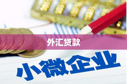 富顺外汇贷款