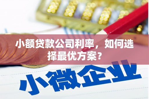 富顺小额贷款公司利率，如何选择最优方案？