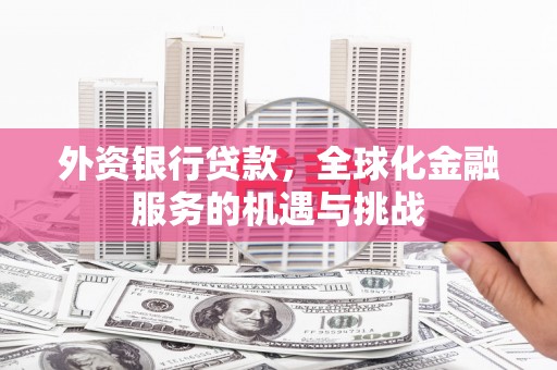 富顺外资银行贷款，全球化金融服务的机遇与挑战
