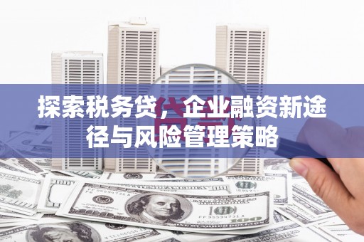 富顺探索税务贷，企业融资新途径与风险管理策略