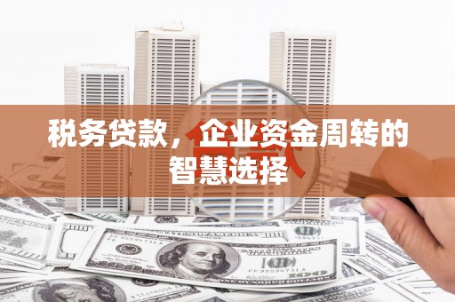 富顺税务贷款，企业资金周转的智慧选择