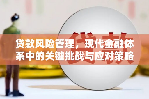 富顺贷款风险管理，现代金融体系中的关键挑战与应对策略