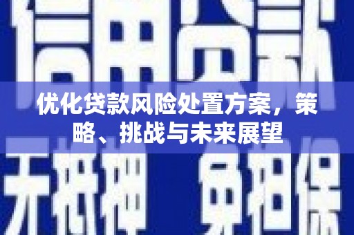 富顺优化贷款风险处置方案，策略、挑战与未来展望