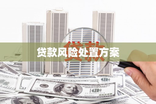 富顺贷款风险处置方案