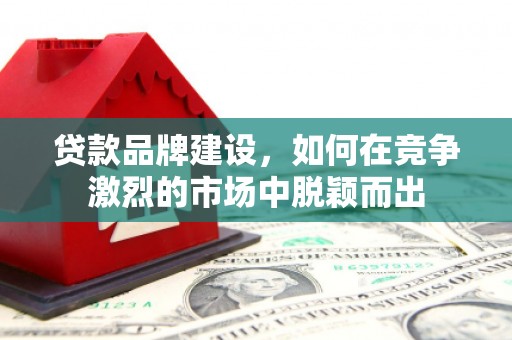 富顺贷款品牌建设，如何在竞争激烈的市场中脱颖而出