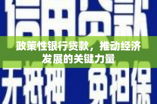 富顺政策性银行贷款，推动经济发展的关键力量
