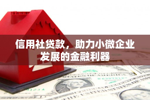 富顺信用社贷款，助力小微企业发展的金融利器