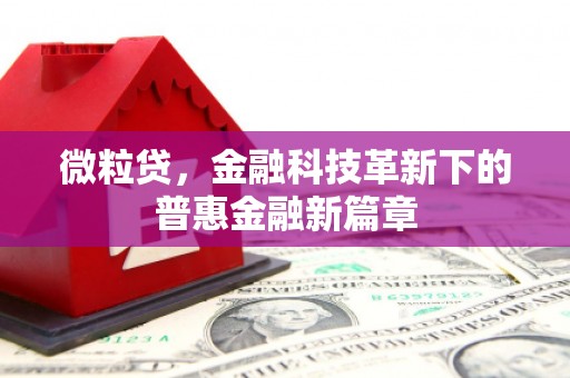 富顺微粒贷，金融科技革新下的普惠金融新篇章