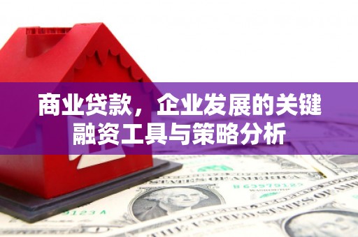 富顺商业贷款，企业发展的关键融资工具与策略分析