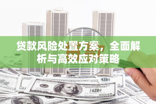 富顺贷款风险处置方案，全面解析与高效应对策略