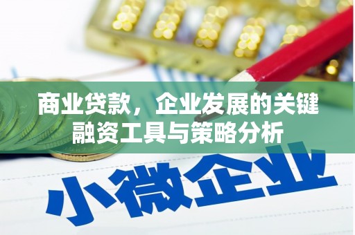 富顺商业贷款，企业发展的关键融资工具与策略分析