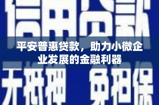 富顺平安普惠贷款，助力小微企业发展的金融利器