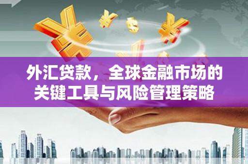 富顺外汇贷款，全球金融市场的关键工具与风险管理策略