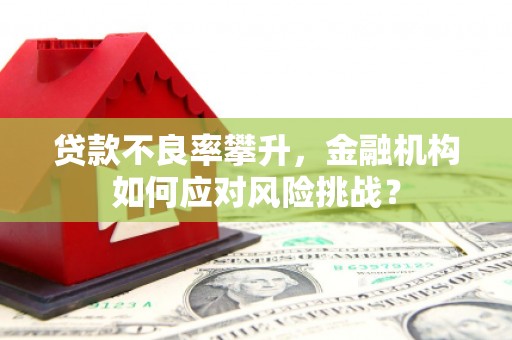 富顺贷款不良率攀升，金融机构如何应对风险挑战？