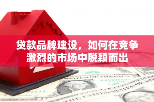 富顺贷款品牌建设，如何在竞争激烈的市场中脱颖而出