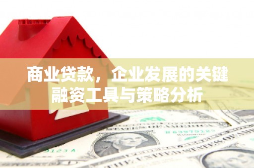 富顺商业贷款，企业发展的关键融资工具与策略分析