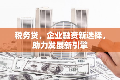 富顺税务贷，企业融资新选择，助力发展新引擎