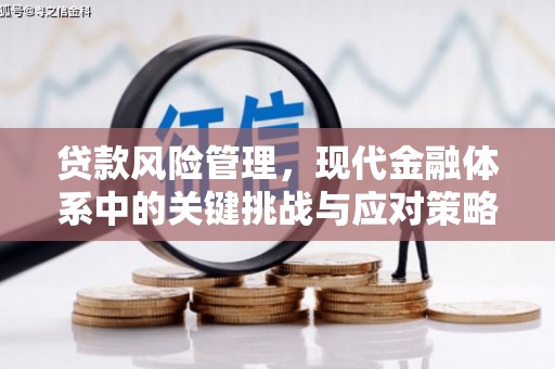 富顺贷款风险管理，现代金融体系中的关键挑战与应对策略