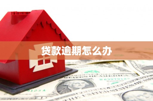 富顺贷款逾期怎么办