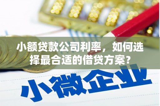 富顺小额贷款公司利率，如何选择最合适的借贷方案？