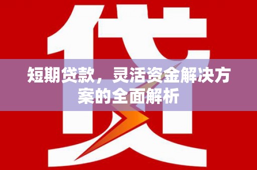 富顺短期贷款，灵活资金解决方案的全面解析