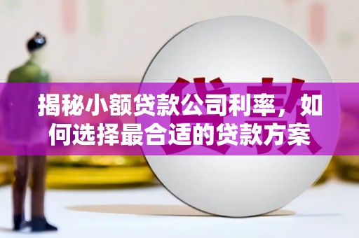 富顺揭秘小额贷款公司利率，如何选择最合适的贷款方案