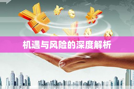 富顺机遇与风险的深度解析