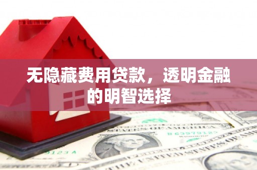 富顺无隐藏费用贷款，透明金融的明智选择