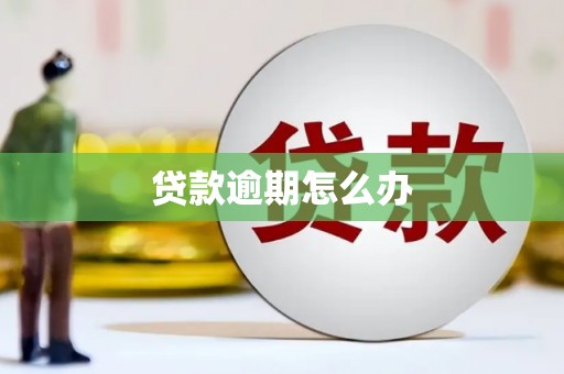 富顺贷款逾期怎么办