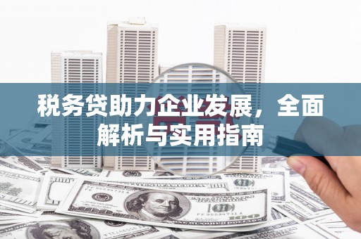 富顺税务贷助力企业发展，全面解析与实用指南