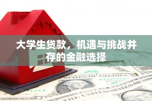 富顺大学生贷款，机遇与挑战并存的金融选择