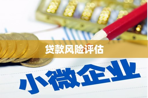 富顺贷款风险评估