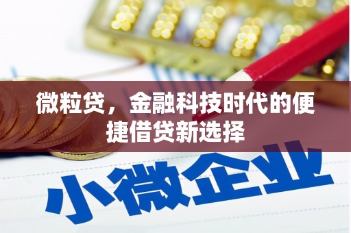 富顺微粒贷，金融科技时代的便捷借贷新选择