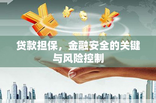 富顺贷款担保，金融安全的关键与风险控制