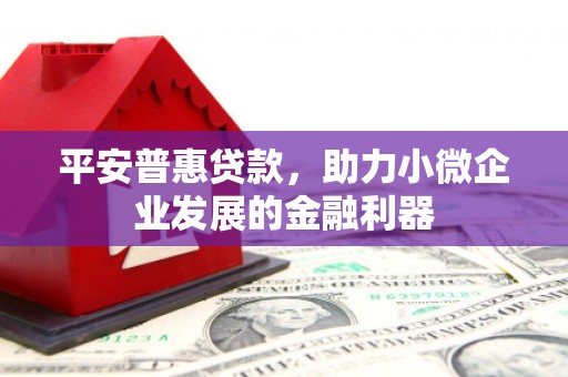 富顺平安普惠贷款，助力小微企业发展的金融利器