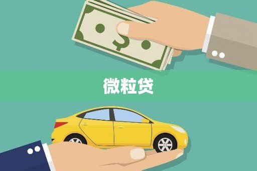 富顺微粒贷