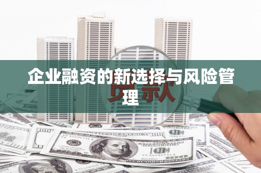 富顺企业融资的新选择与风险管理