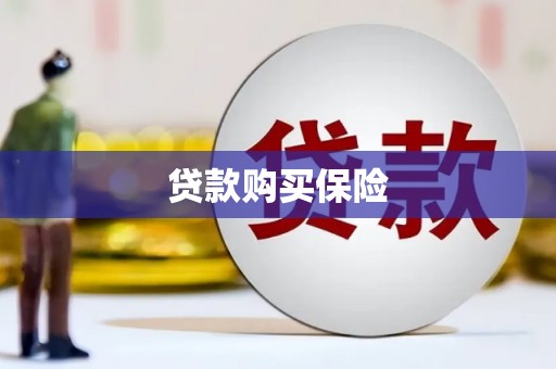 富顺贷款购买保险