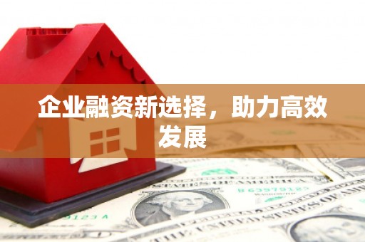 富顺企业融资新选择，助力高效发展