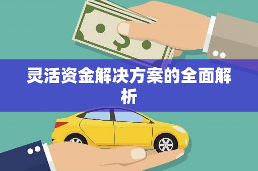 富顺灵活资金解决方案的全面解析
