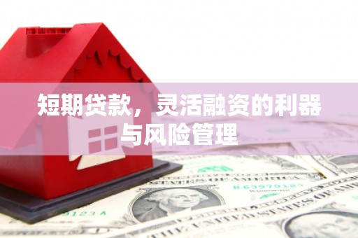 富顺短期贷款，灵活融资的利器与风险管理