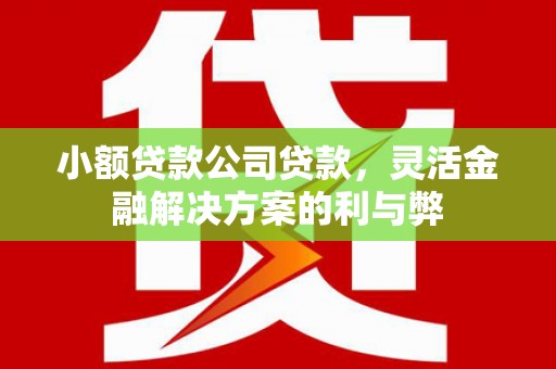富顺小额贷款公司贷款，灵活金融解决方案的利与弊
